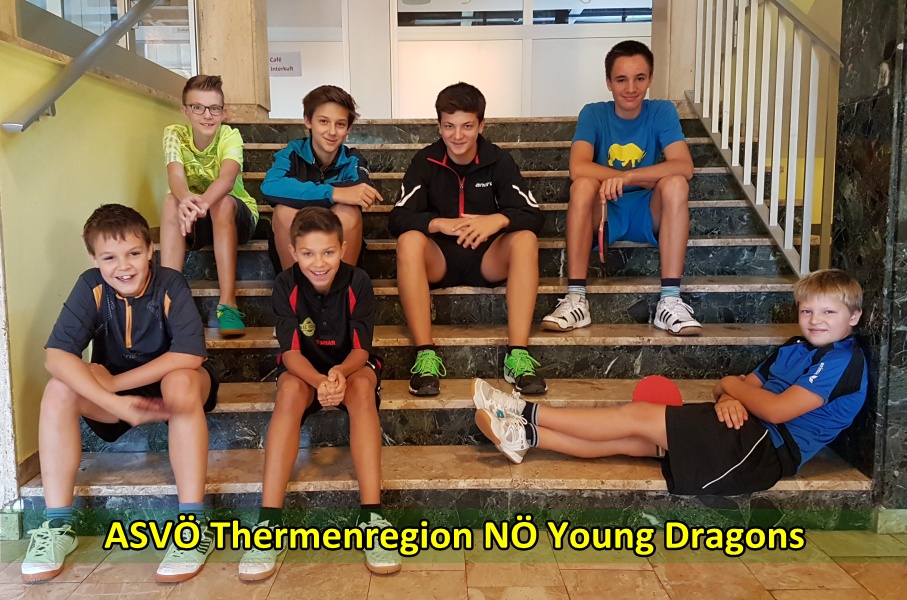 Gute Erfolge für die ASVÖ NÖ Thermenregion Young Dragons Spieler